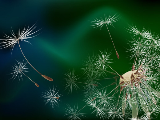 418506 (a): :1600x1200